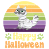 Halloween Cat