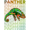 Panther Chameleon Reptile Keeper