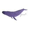 Gentle Whale Floral Design