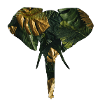 Éléphant dans la jungle
