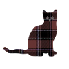 Karokatze