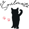 Soulmate Cat