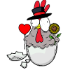 Birthday Chicken Congratulations Congratulations Birth