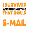 I Survived Another Meeting 13