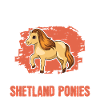 Shetland Pony Cadeau Shetty