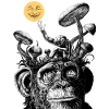 Le Singe et la Lune
