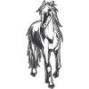 Horse