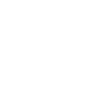 Wild West