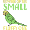 Budgie Pets | Birds Bird