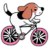 Beagle Chien Vélo Chien Chiot