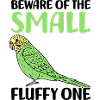 Budgerigar