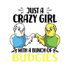 Budgerigar lovers | Birds Pet