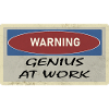 Genius at work