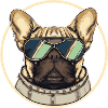 Français Bulldog Pilot Dog Frenchie