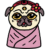 Geisha Pug Dog Puppy