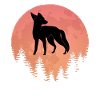 Natur Vollmond Fuchs Jäger