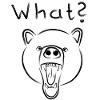 Grizzly Bär mit WHAT? - hell
