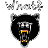 Grizzly Bär mit WHAT? - dunkel