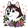 Husky Flowers Dog Malamute