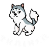 Huskytrainer Grumpy Hund Malamute