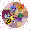 Insecte