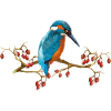 Bunter Vogel