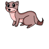 Weasel Marten