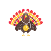 Turkey Nurse Thanksgiving Dinner Turkey