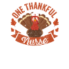 A grateful nurse funny Turkey