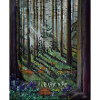 Enchanted Forest Sunbeams Illustration