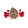 Animal Rescue Pet Adoption