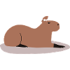 Capybara