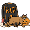 Cute Chausie Halloween Cat