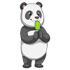 Panda with popsicles
