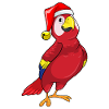 Parrot with Christmas cap