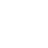 Ice Hockey Puck
