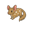 Kawaii Pouch Marten
