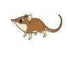 Kawaii Proboscis Jumper