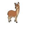 Kawaii Klippspringer