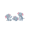 Elefant Frau Liebe
