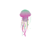 Quallenflüsterer