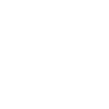 Ammonite - Time Snail