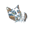 mon drôle de chat