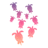 Schildkröten Turtle