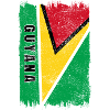Guyana flag