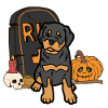 Mignon Rottweiler Halloween Costume Chien