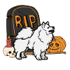 Mignon Spitz Halloween Costume Chien