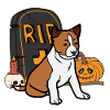 Basenji Halloween Costume Chien