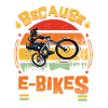 E-bikes can't fly.