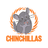 J’aime vraiment Chinchillas ok